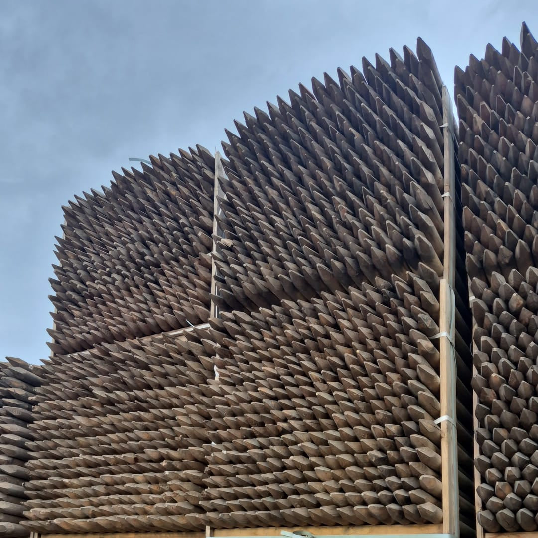Stacked debarked wooden tree stakes