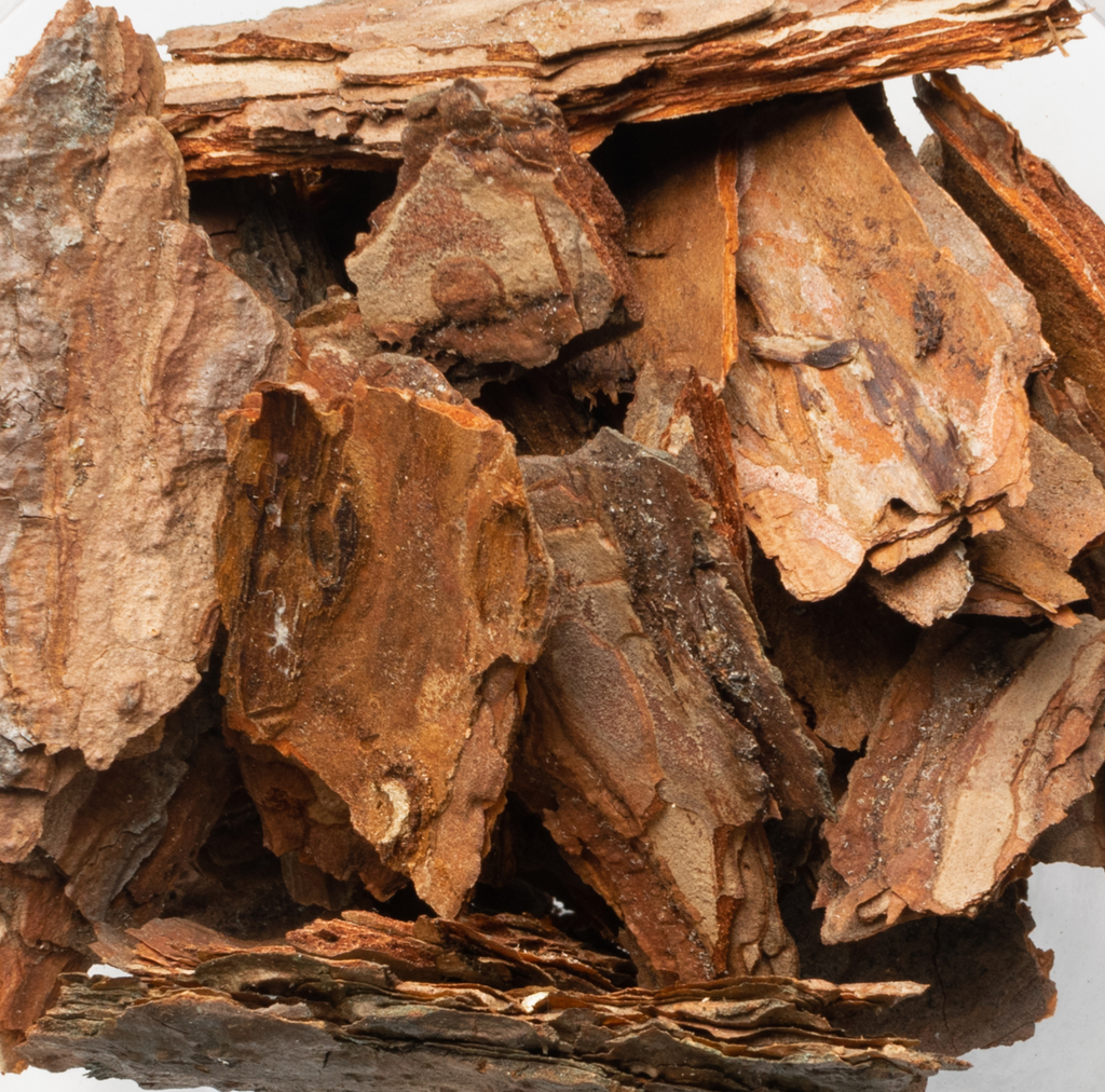 Pine Bark