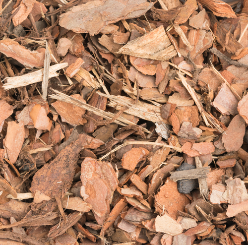 Pine Mulch