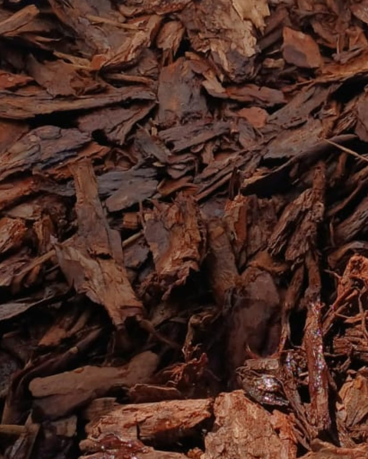 Terravita shredded pine mulch, 30-60 mm bark fibre